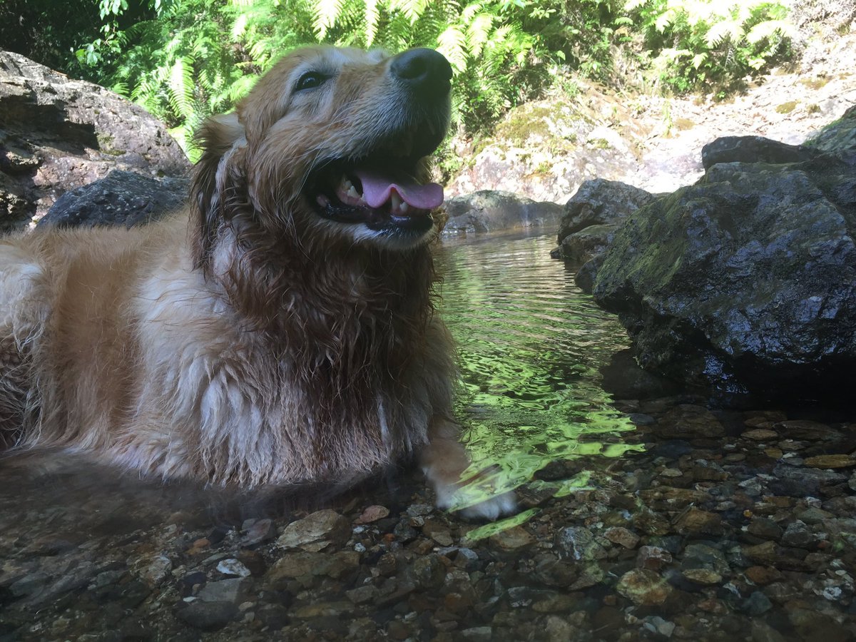 りょーすけ Hata Twitter りょーすけ Hata Twitter