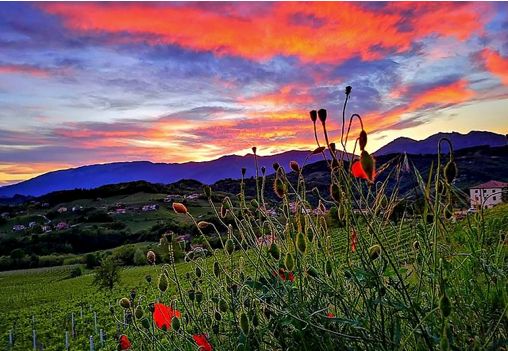 The Prosecco hills in all their glory. "Red in the evening." San Pietro. 📸: @alebrex69 Tag #visitproseccoitaly to be featured. #sanpietrodifeletto #visititaly
#proseccolover #winetour #winetourism #italytravel #italylove #italytrip #italytour #honeymoonideas #redsunset