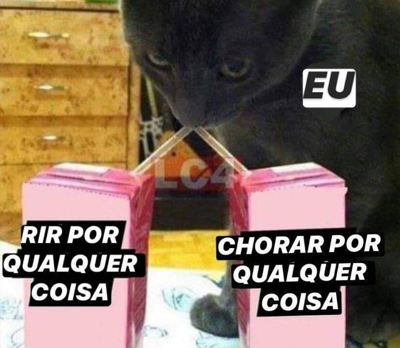 ClarissaYorke's tweet photo. meu meme https://t.co/SfMlj69xC7