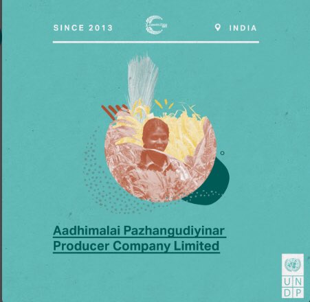 2 of 10 #EquatorPrize winners are from india 🇮🇳! 🙌🏽.

Congratulations to Aadhimalai Pazhangudiyinar Producer 👏🏽 and Snehakunja Trust 👏🏽 for their work & this honour.

We at @UNDP_India are proud of their achievement & work  ➡️#ClimateAction 🌏. @equatorinit