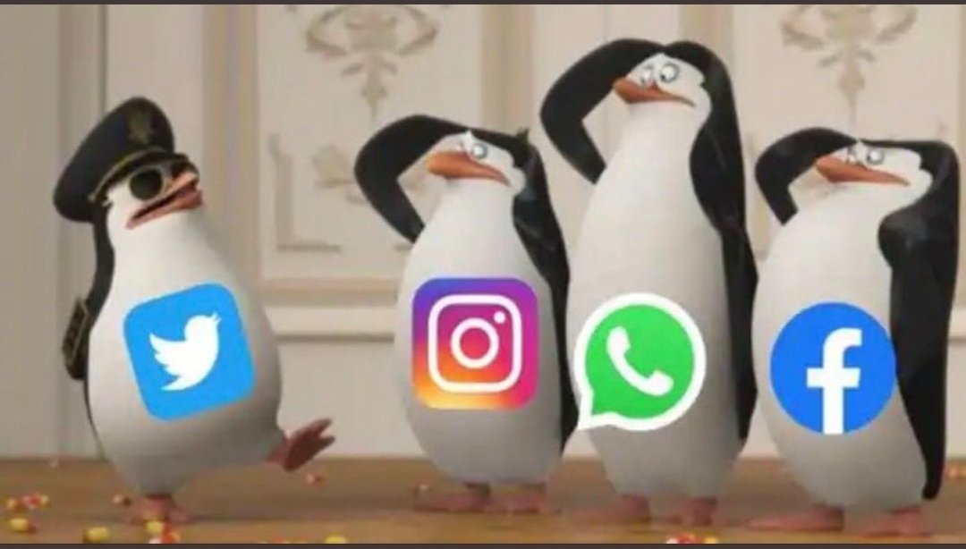 Bhadresh_ins's tweet photo. અલા ગયા આ તો કામથી🤔

#InstagramDown #FacebookDown #WhatsappDown #ServerDown #MarkZukerburg https://t.co/6BTp3IVFVD