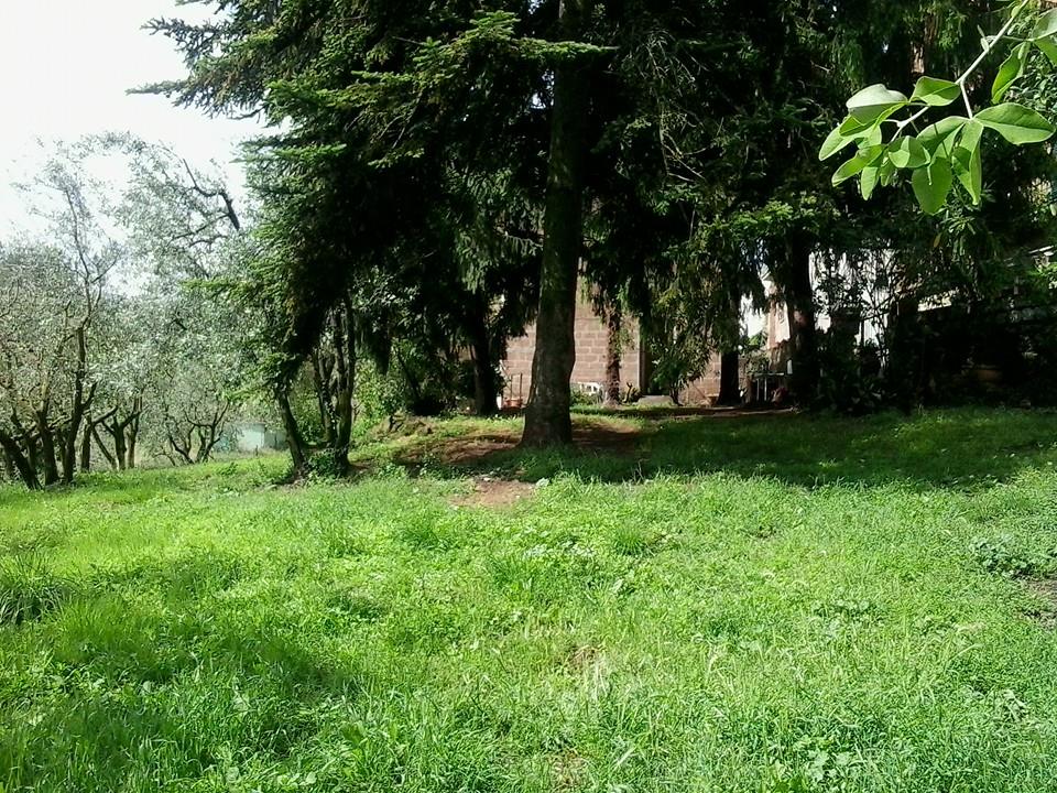 freeworldworld's tweet image. sweet home