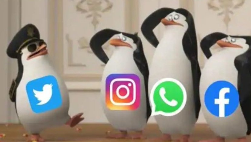 Niels Groeneveld tweet media