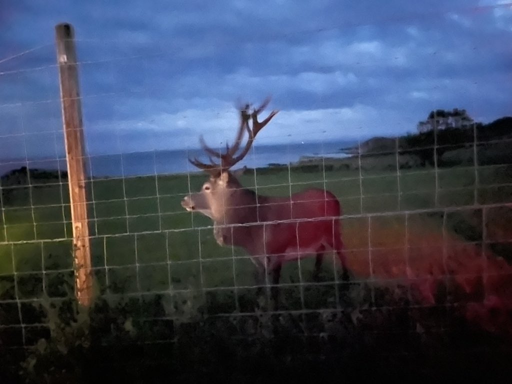 marcus covell (@marcuscovell) on Twitter photo 