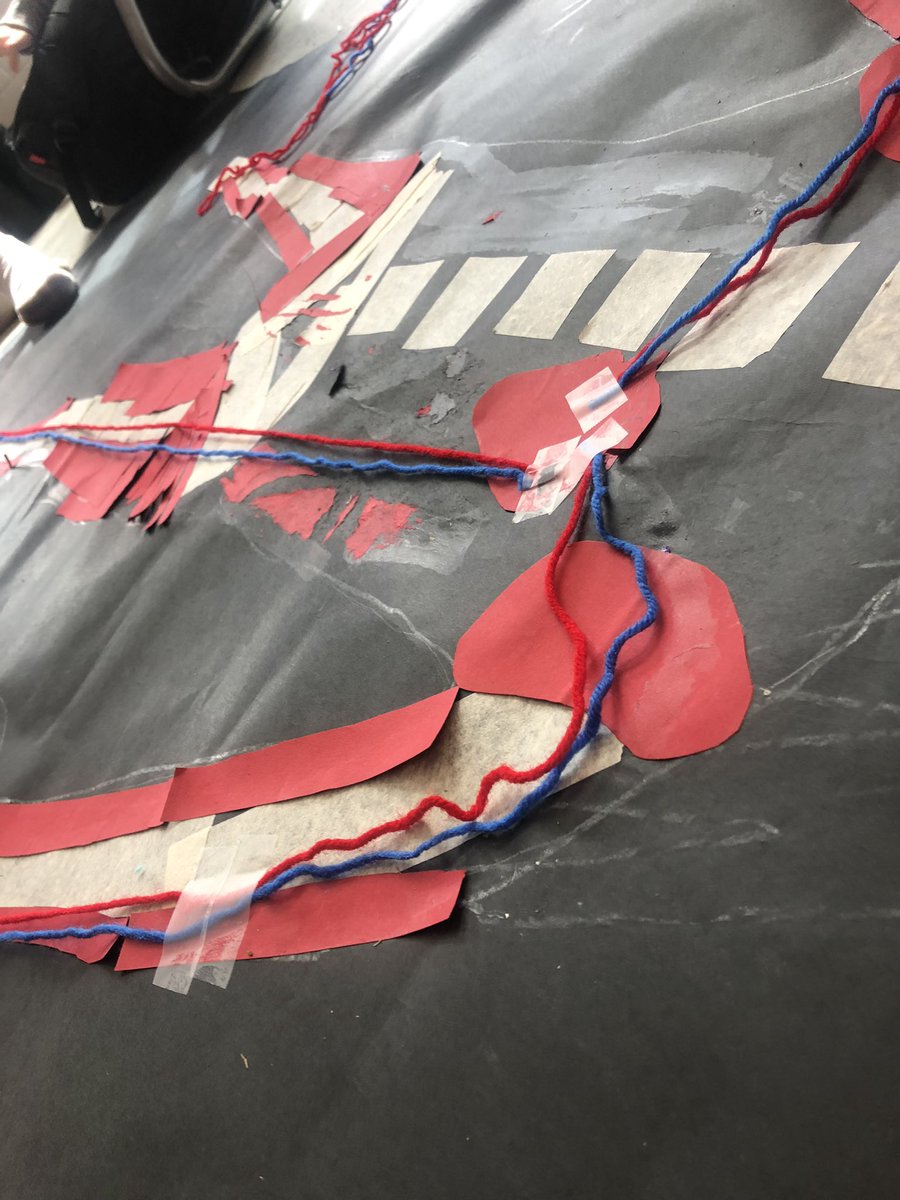 Mrs_H5th's tweet photo. Adding the circulatory system to our bodies this afternoon. Now we can transport oxygen and nutrients to our cells. #humanbodyunit #5thgrade https://t.co/reCdrQTfou