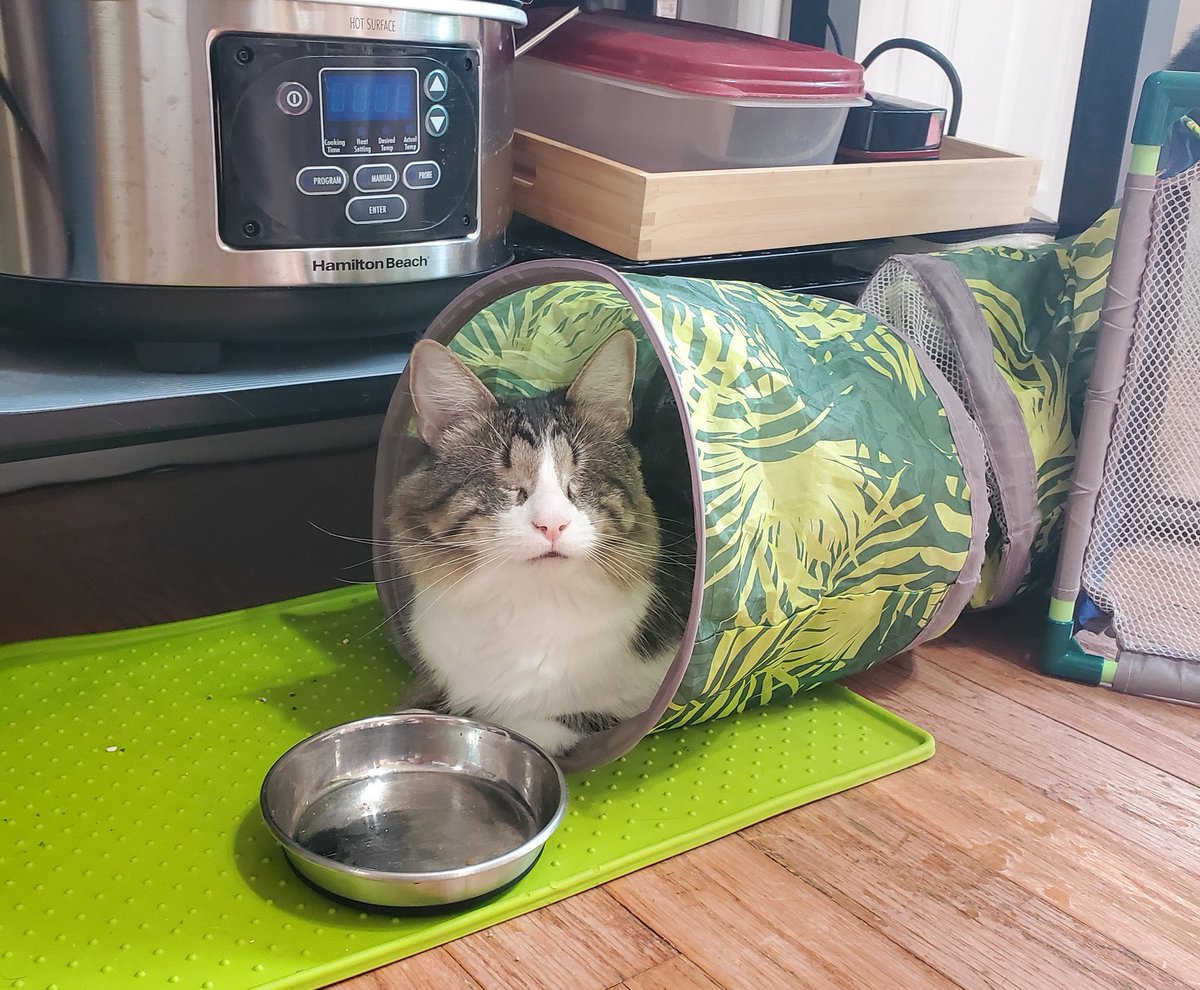 t ū b e  sustenance