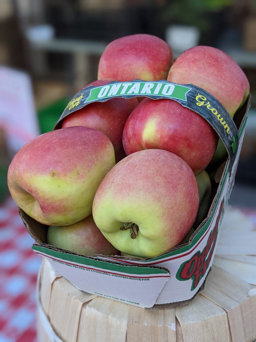 AnnetteV_Market's tweet photo. It's our LAST MARKET Wed. October 6 from 3 - 7 PM &amp; a great time to stock up for Thanksgiving with all the fruits and vegetables, gluten free crackers and dips, delicious goat cheeses, appetizers, baked goods and of course some wine. #farmersmarket #AVFM #annettevillage #JoinUs https://t.co/UIzVs0yPYA