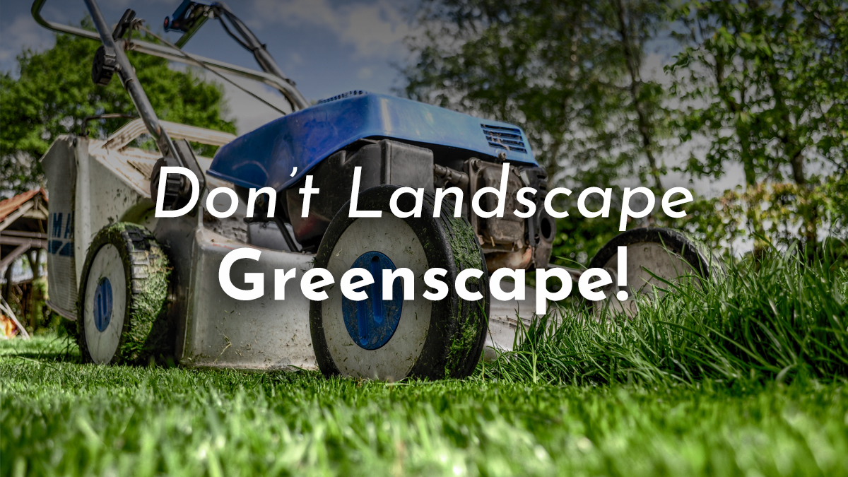StormWaterCM's tweet photo. Fall is the perfect time to #greenscape your lawn! #Grasscycling is a method of letting grass clippings decompose after mowing to release nutrients back into the soil. Say bye to harmful fertilizers! For more tips, visit https://t.co/wax0Soolun https://t.co/JYA4Apntr3