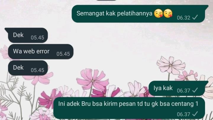 Pantesan kok pesan gak bisa terkirim, sekalinya error WhatsApp haduh maka LDR-an lagi 😂