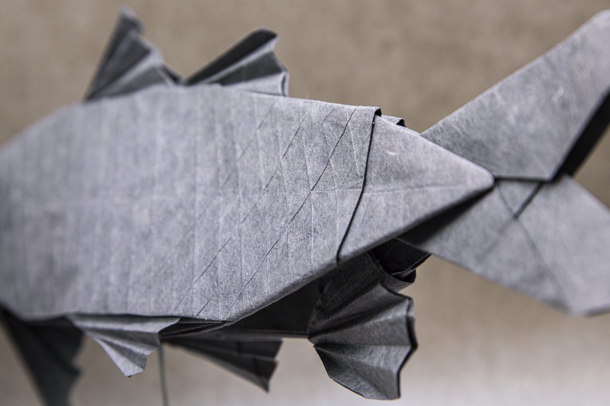 origami_MK's tweet photo. 魚。 16等分。 https://t.co/5FQhOB0SFq