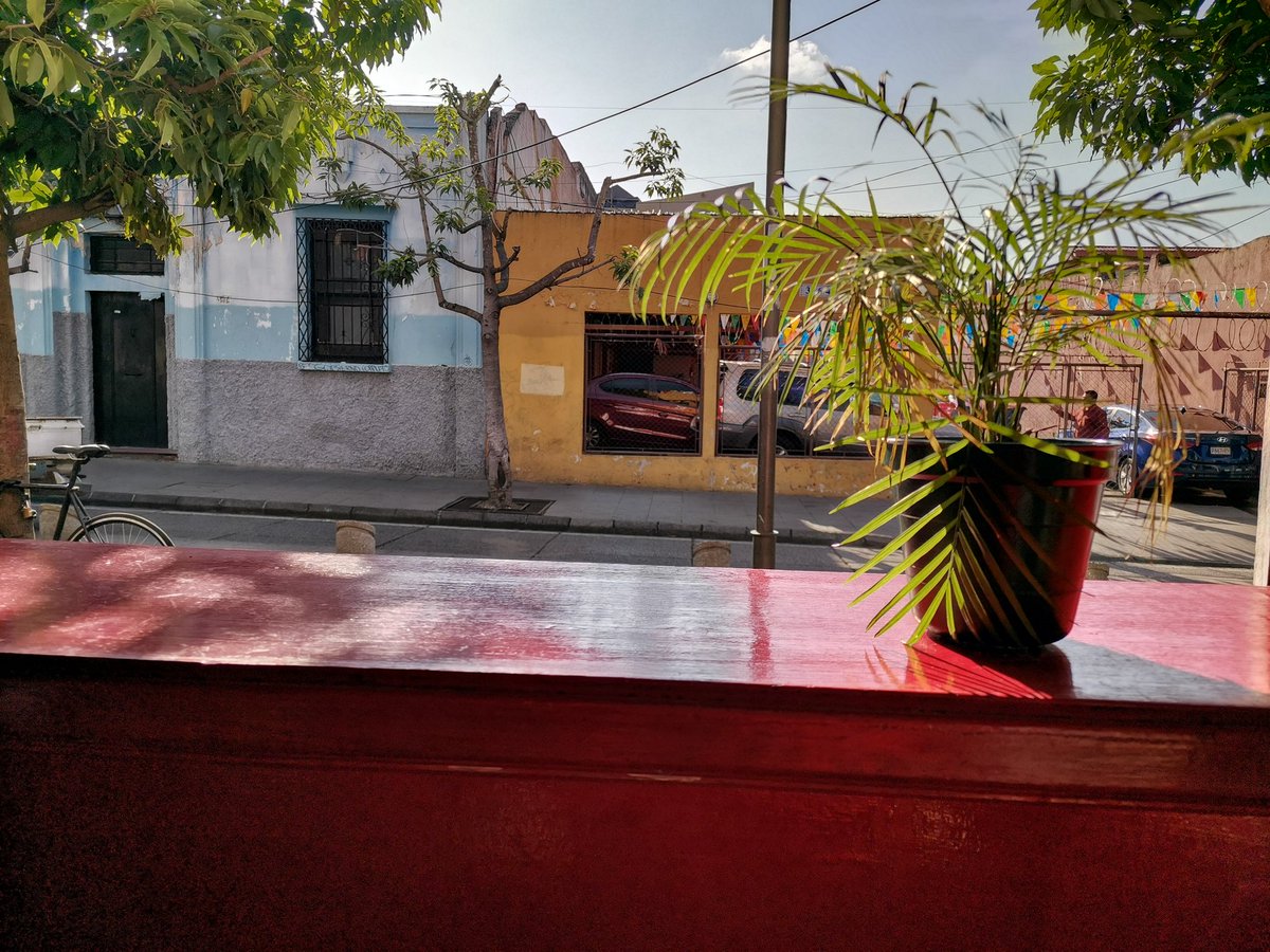 Hola amics. Recuerden que con o sin redes sociales, los esperamos todos los días a partir de las 7 am hasta las 9pm en Rayuela 😎