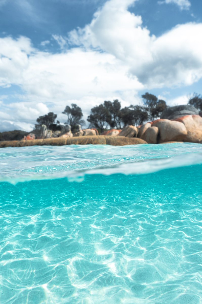 Robert King tweet media