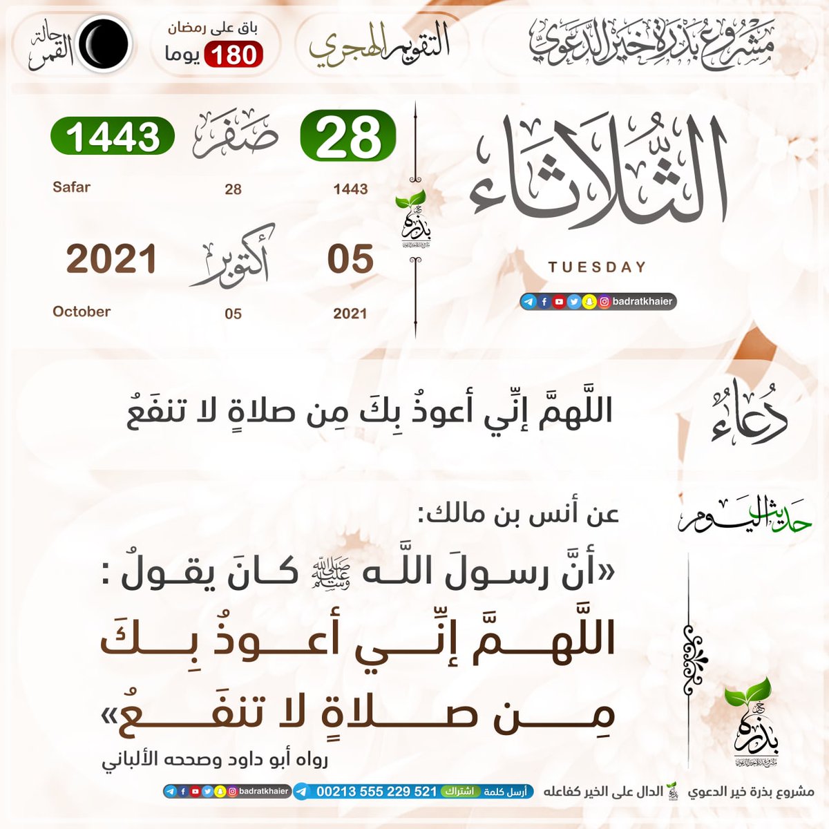 Sabah Ahmed (@sabahah11854954) on Twitter photo 