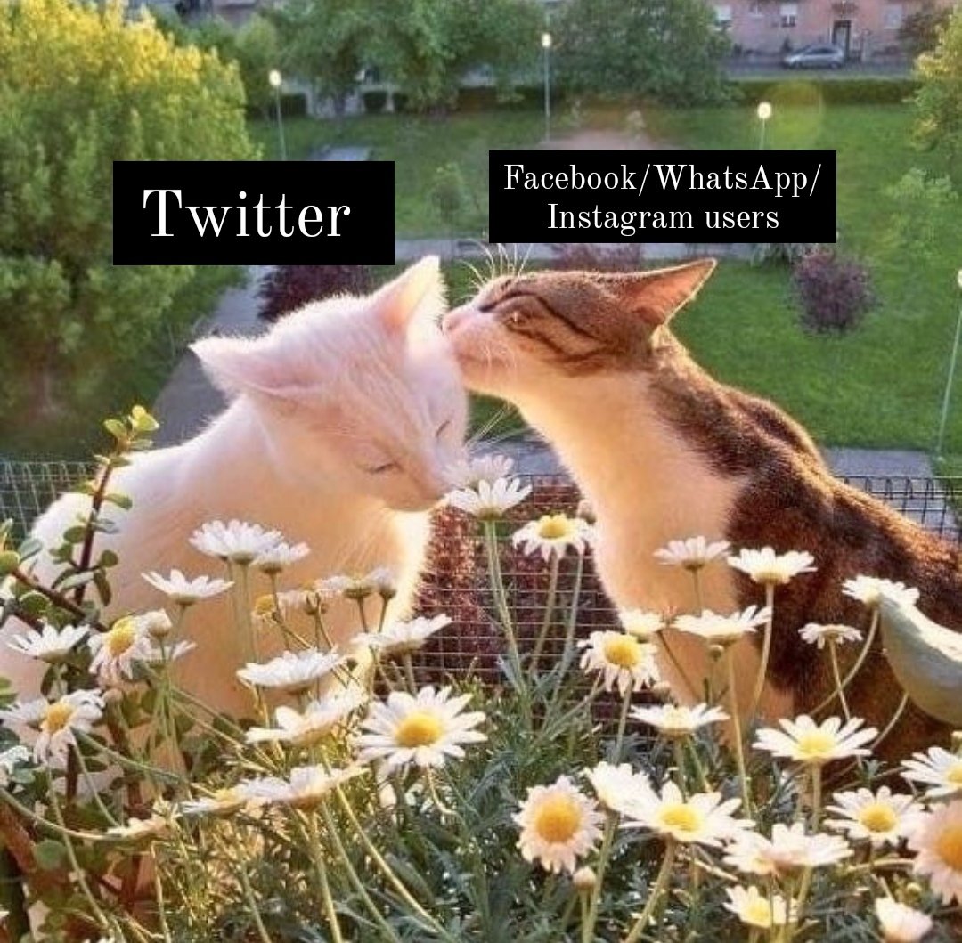 Aimee_May666's tweet photo. @Twitter https://t.co/2i6fLylDV8