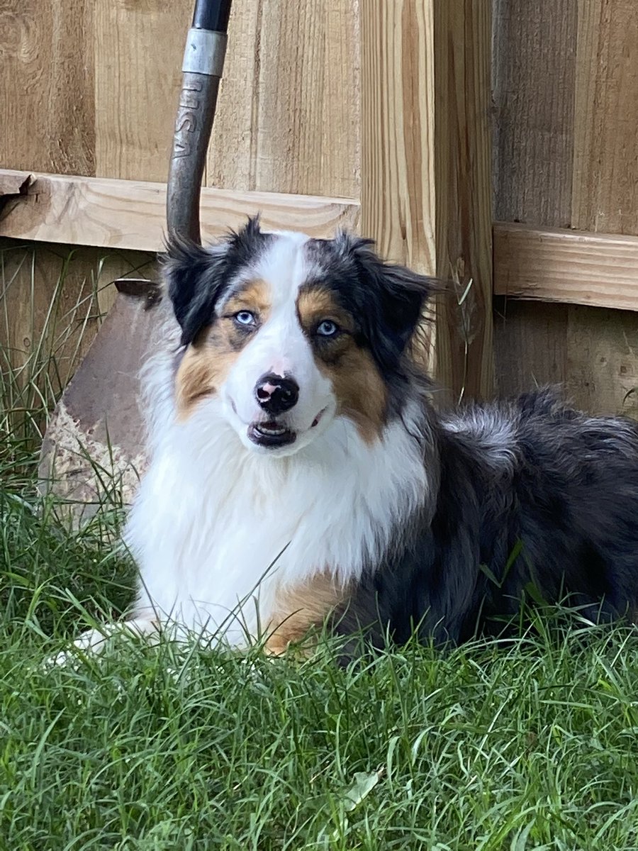 Randomrollradio tweet media