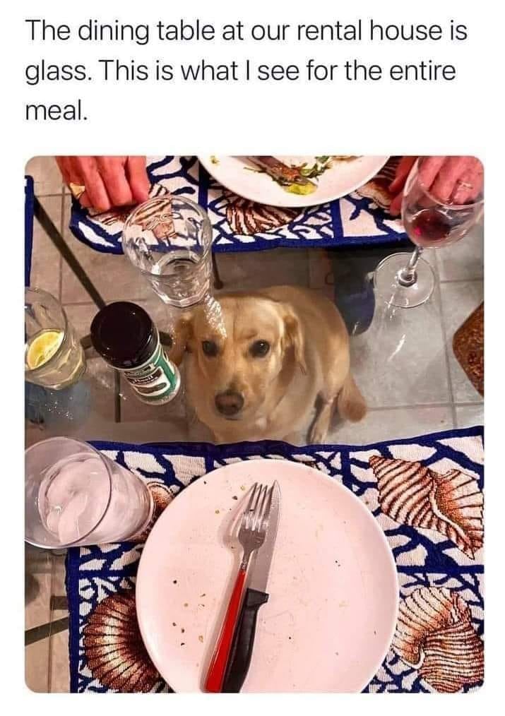 WholesomeMeme's tweet photo. https://t.co/d1WZIvjvEZ