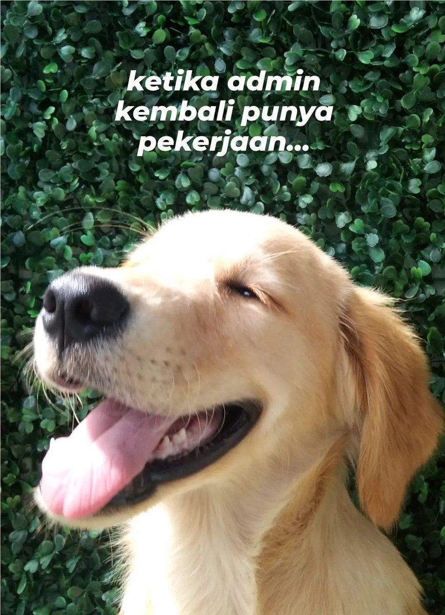 bayuhdr's tweet photo. https://t.co/9qkZpjgU3b