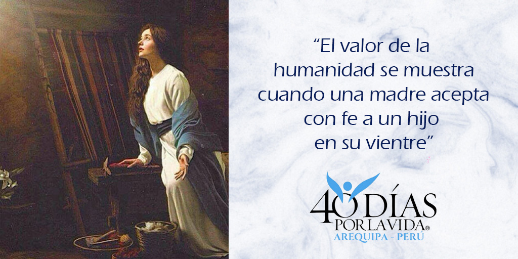 40diasxlavidaqp's tweet photo. Día 14 Orando por los que trabajan en centros de aborto para que en sus almas sientan esas ansias de buscar la verdad y defender la vida
#40DíasPorLaVidaPerú
#40DíasxLaVidAQP
#SalvemosTodasLasVidas 
#OraciónyAcción https://t.co/phIPLLyqGr