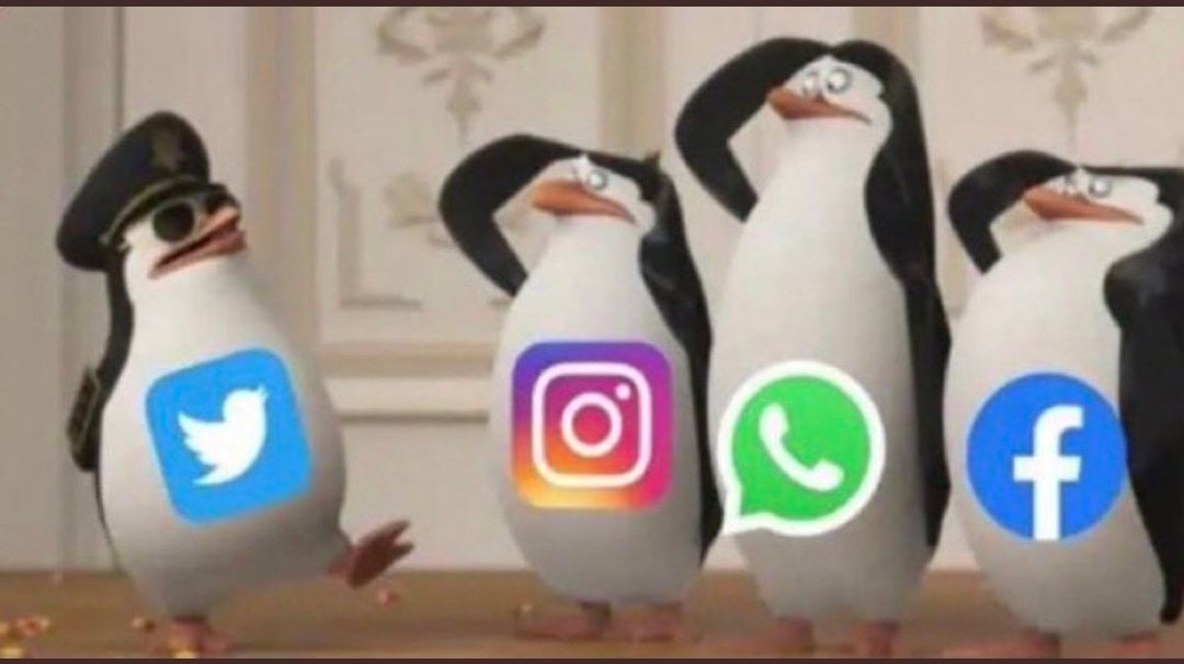HashanMdura's tweet photo. #facebookdown
🤤🤤🤤🤤🤤😪 https://t.co/5ThP1RseUF