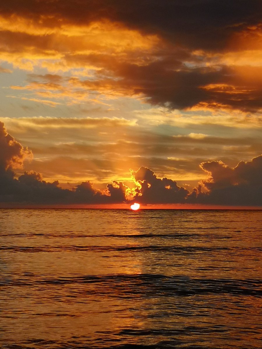filippikappa's tweet photo. 🌅🧡
#sabaudia https://t.co/GYjtUScPF0