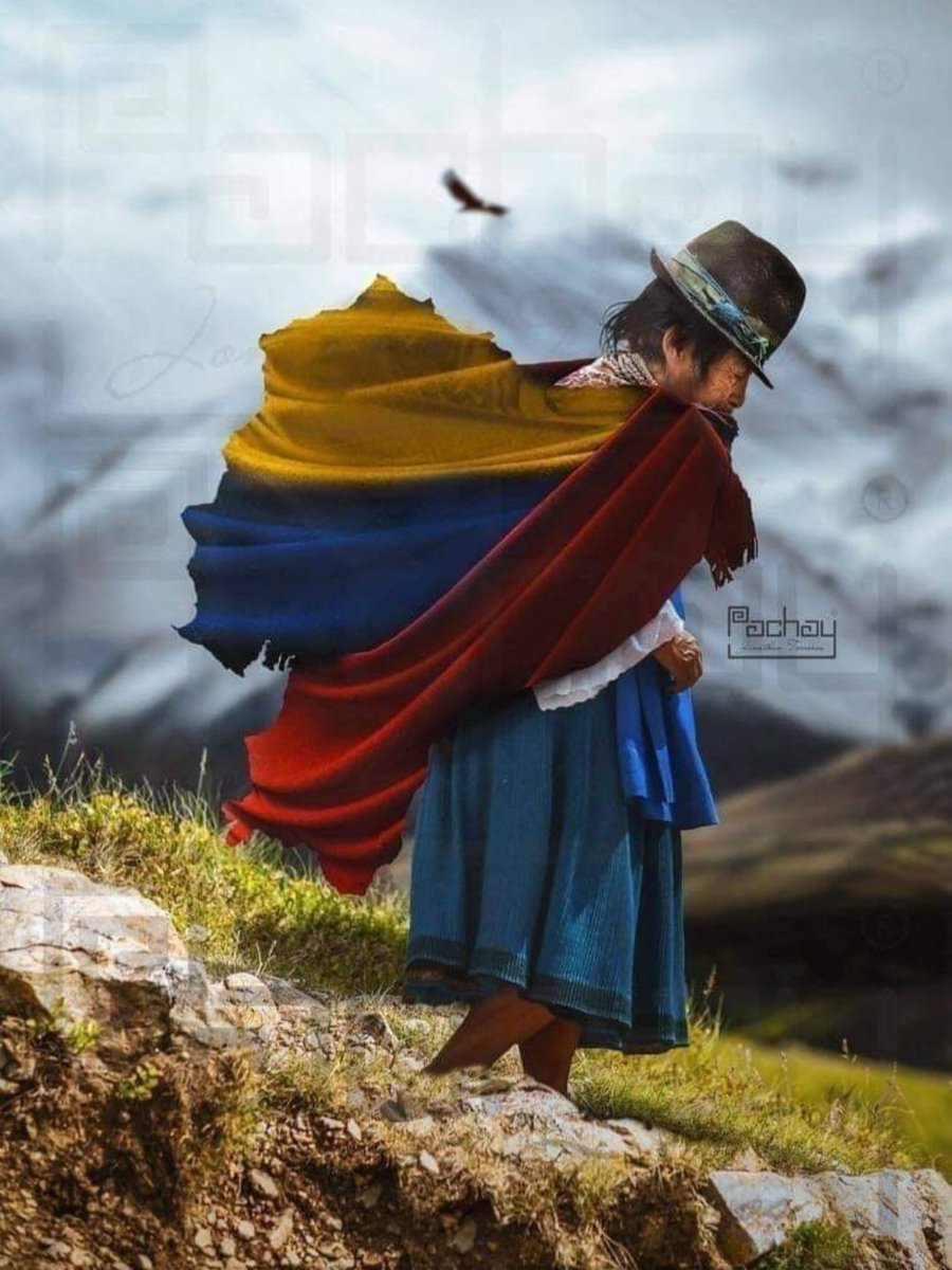 cafermorales's tweet photo. Como dueles Ecuador, necesitamos nuevos líderes que permitan el desarrollo del país. https://t.co/pyHsvxzZr2