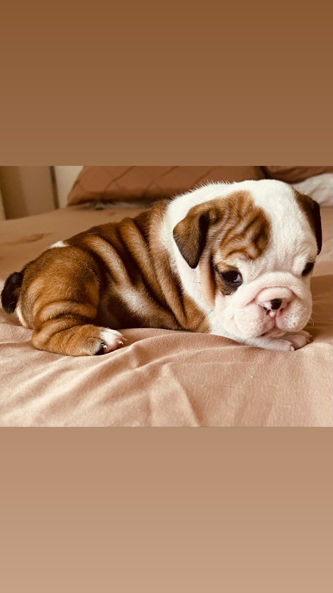 Own Lane Money Gang (@moneyslimm) on Twitter photo 