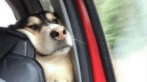 lele_efkay's tweet photo. But honestly guys, I see you are talking about Mxit. Are our nudes safe on whatsapp though? 😭💔 https://t.co/ODSMjxWT2U
