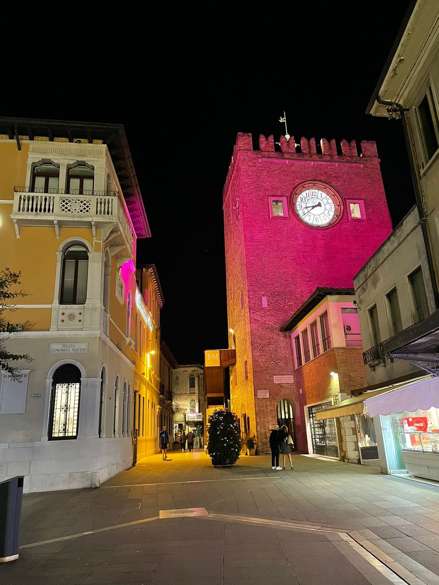 lindagiovi's tweet photo. #OttobreRosa ~ La Città di #Venezia si tinge di rosa per il mese della prevenzione del tumore al #seno 🎀💖 https://t.co/AqmSlXgGoz