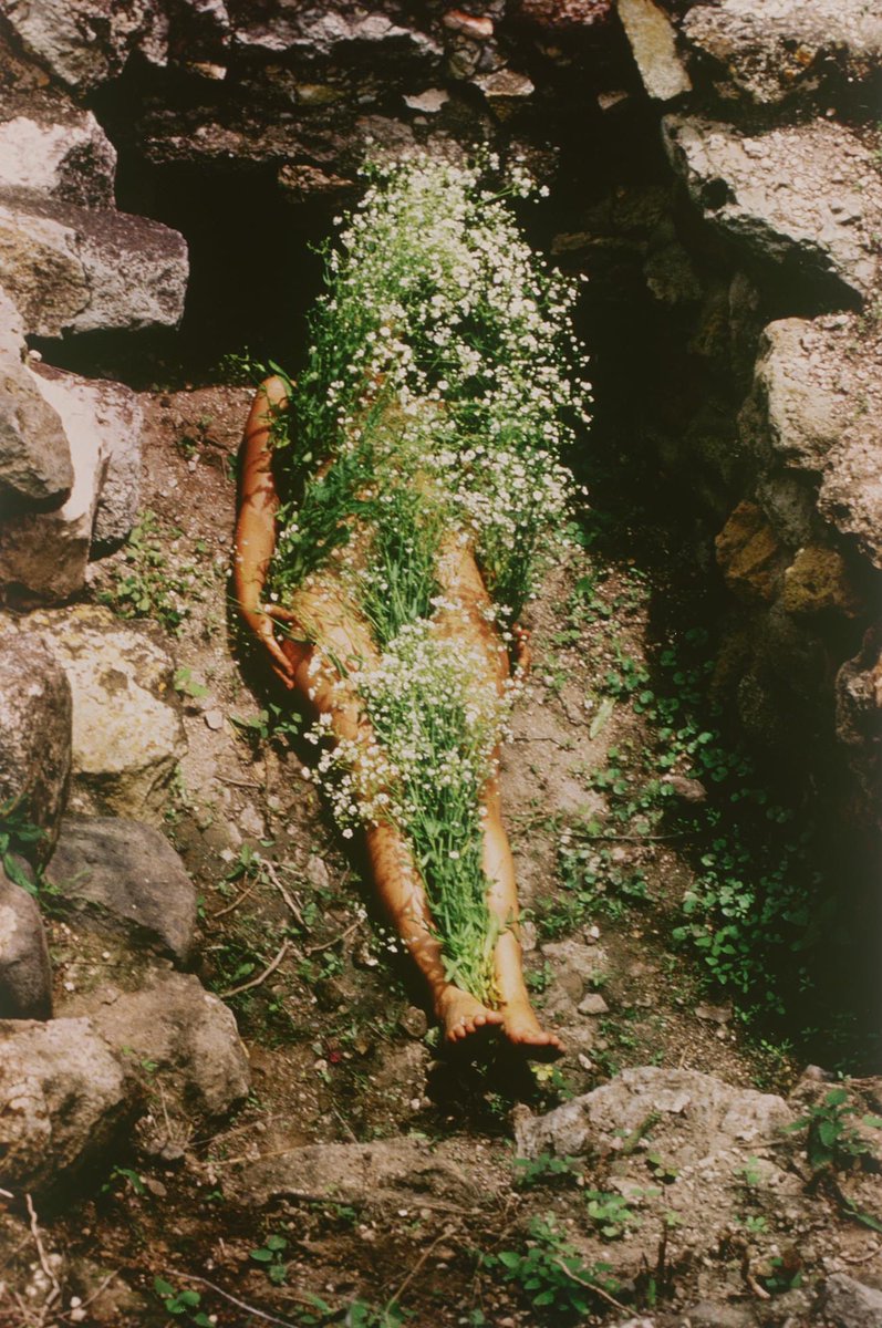 Kinoscope's tweet photo. Casual Monday
See it @Kinoscope:
https://t.co/E8tcCGZxrh
#film #cinema #art #streamjng https://t.co/F44KH4Xfl9