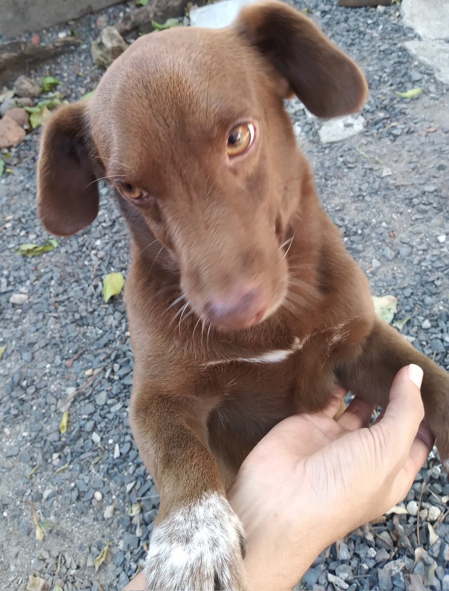 ElbedithPaz's tweet photo. Mayito 🥰 https://t.co/lQsNNoKrGH
