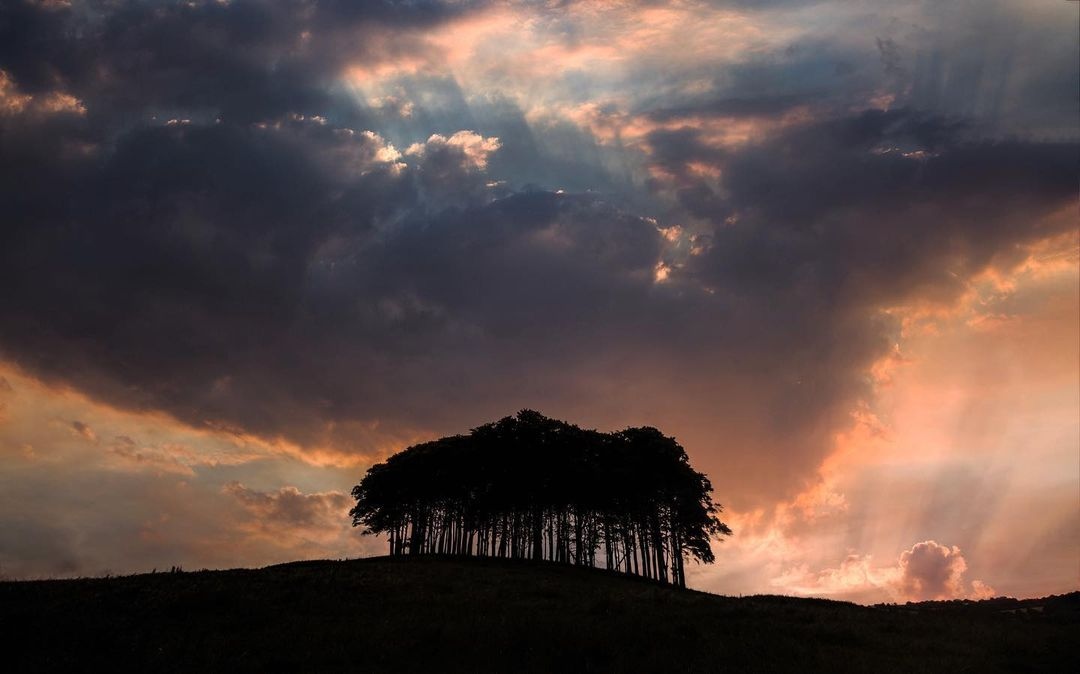 InCornwalI's tweet photo. It is impossible not to LOVE this great photo of the 'nearly home trees' by 
@cornish_photographs. 😍
.
.
#kernowfornia #cornwall #amazingcornwall #beautifulcornwall #visitcornwall #explorecornwall #cornwalllife #lovecornwall #autumn #nearlyhometrees #cornish https://t.co/RvqpSSgR4X