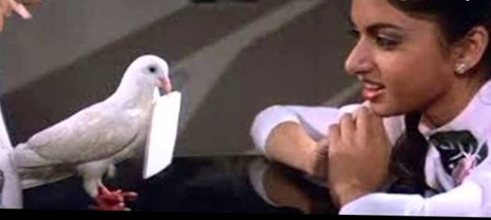 theuunniikk's tweet image. only option😂🤣🤣

#serverdown #Serverless #servercrash