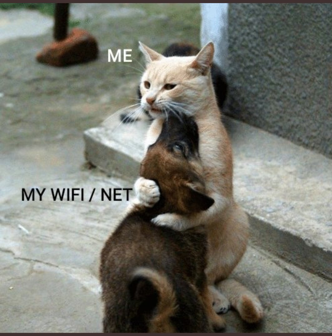 A7mad_TD's tweet photo. My apology to my wifi... 
#facebookdown https://t.co/GShYVqEOco