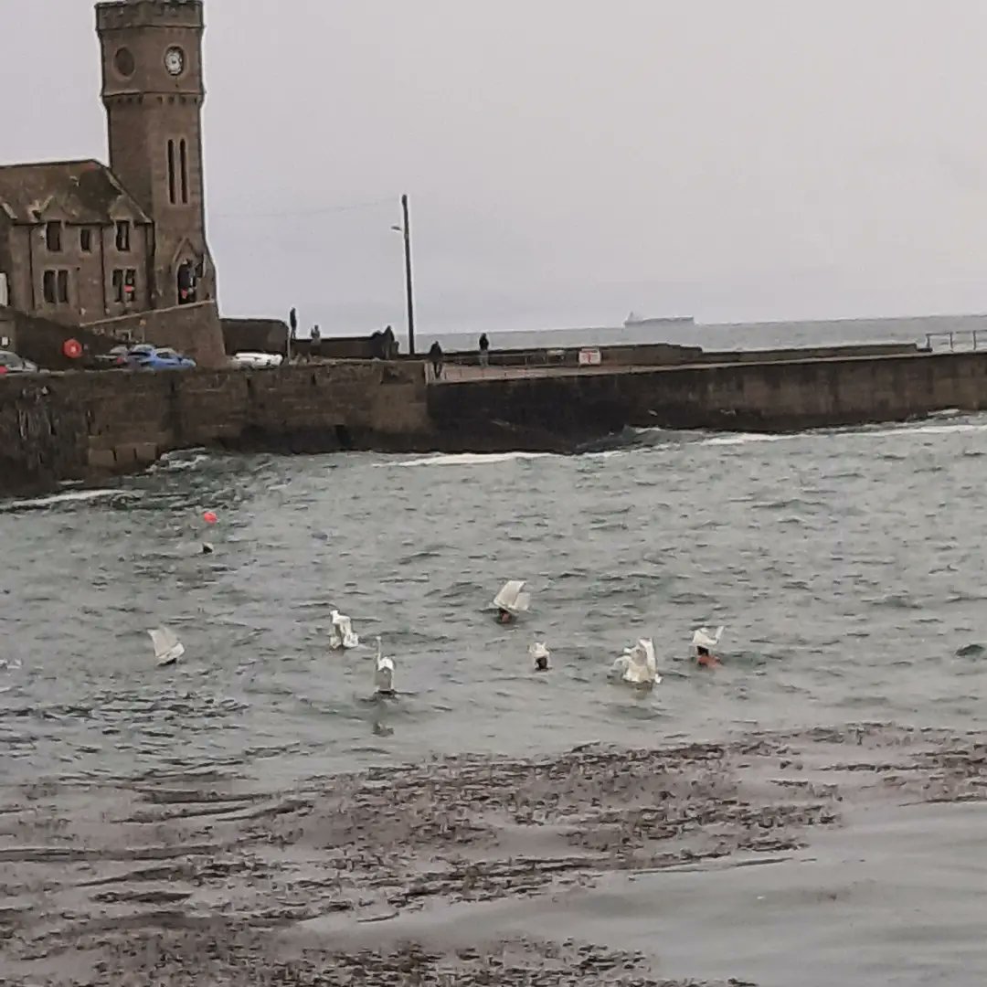 Cornish_Hol_Esc's tweet photo. Lovely display of #mermaids and an unusual #swimhat parade in #Porthleven on Saturday. Part of the @porthlevenarts festival. #Cornwall https://t.co/qgAgBEpweK