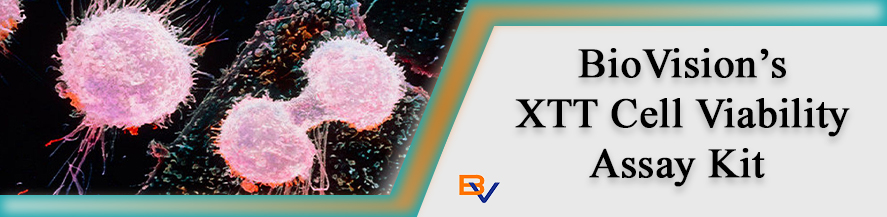 BioVision_Inc's tweet image. BioVision’s XTT Cell Viability Assay Kit is a colorimetric assay for studying cell proliferation &amp;amp; cell cytotoxicity also can detect cell numbers as high as 500,000 viable cells and as low as 1000 viable cells in each well. hubs.ly/H0YLG030 #biotech #biotechnology #lab