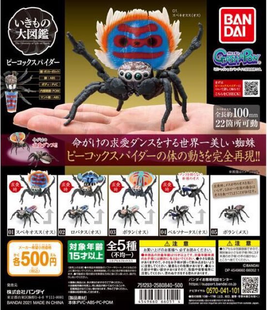 ピーコックスパイダーのtwitterイラスト検索結果 古い順 ピーコックスパイダーのtwitterイラスト検索結果 古い順
