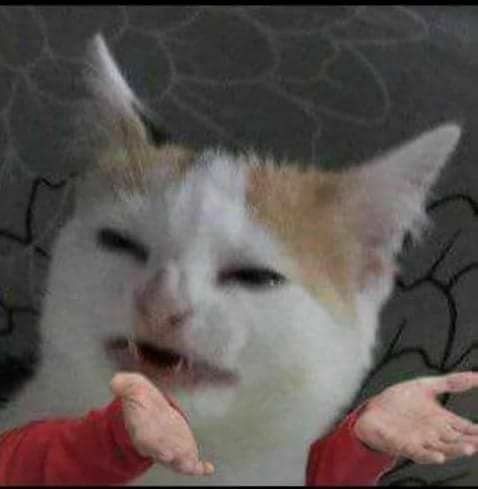 Entras a las redes sociales de Zuckerberg y...