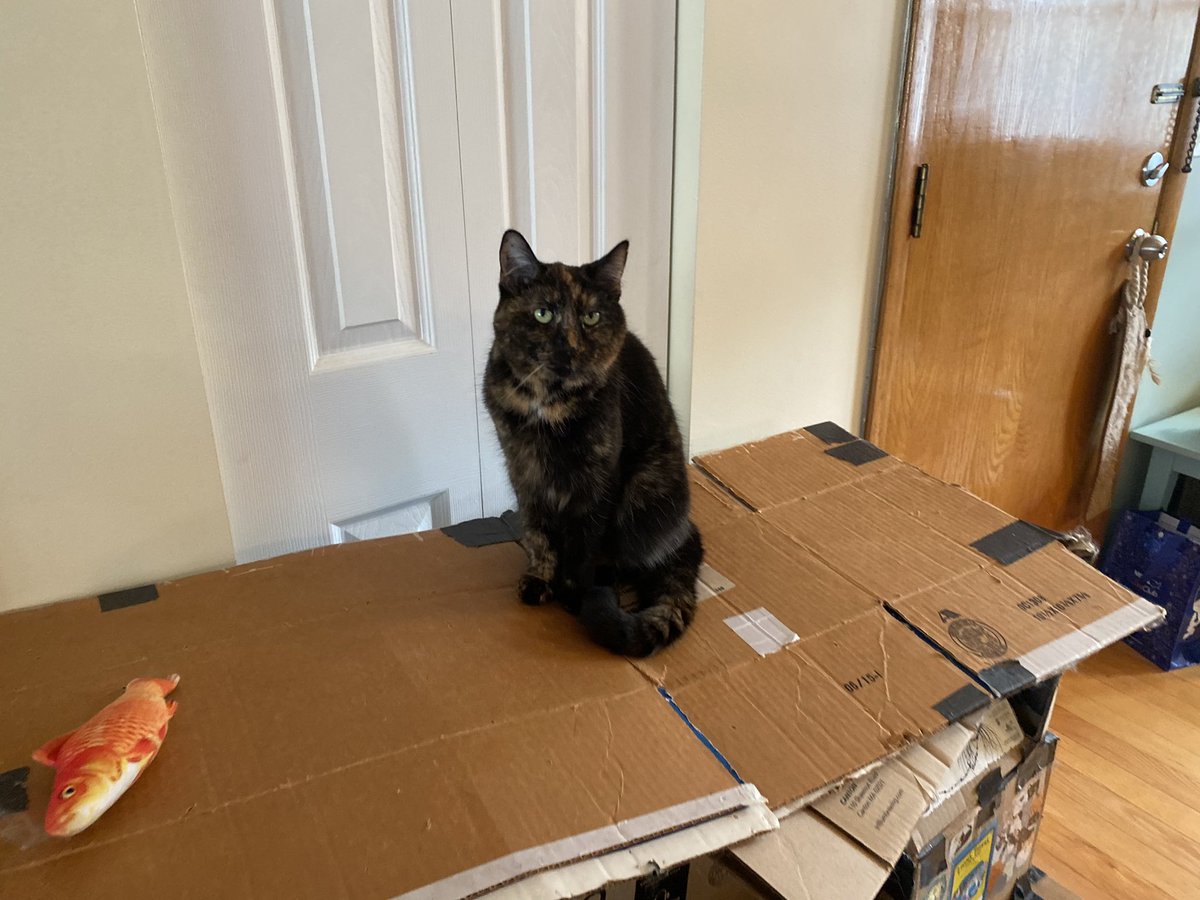 BitchestheCat's tweet image. For those of you new to Twitter, I run this place. Don’t forget that while you’re here. #facebookdown #instagramdown