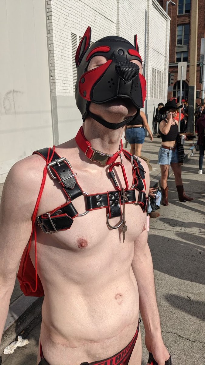 PupTrue's tweet photo. Starting to go through pics from Folsom last week.  Thanks @KittPup for being the dedicated camera guy all weekend! https://t.co/Fa6diCOuOr