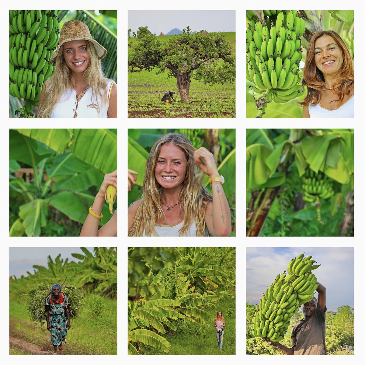 Very Green !