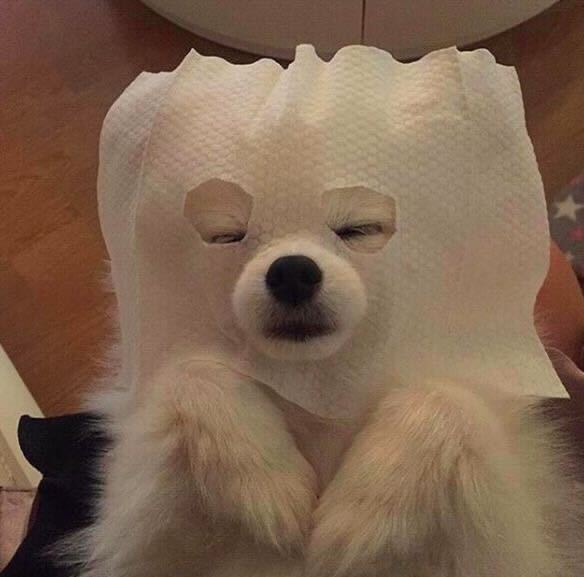 momijibeautymx's tweet photo. Yo aprovechando que se cayó Facebook, Instagram y WhatsApp https://t.co/unqLckFoOq