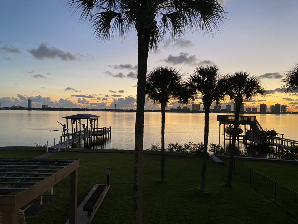 paola valcarcel tweet media