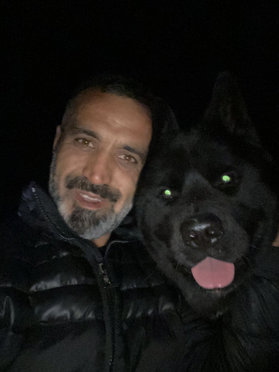 Bütün soruların cevabı bir köpeğin bakışında gizlidir.