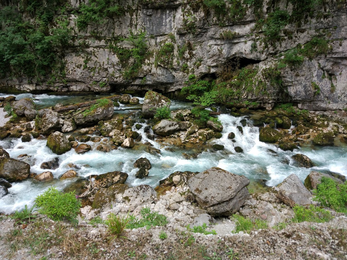 mapscores's tweet photo. Amazing nature of Abkhazia (Caucasus)

📸: Andrey Firsov

#potd #photooftheday #naturephotography https://t.co/uEDHpkyR4j