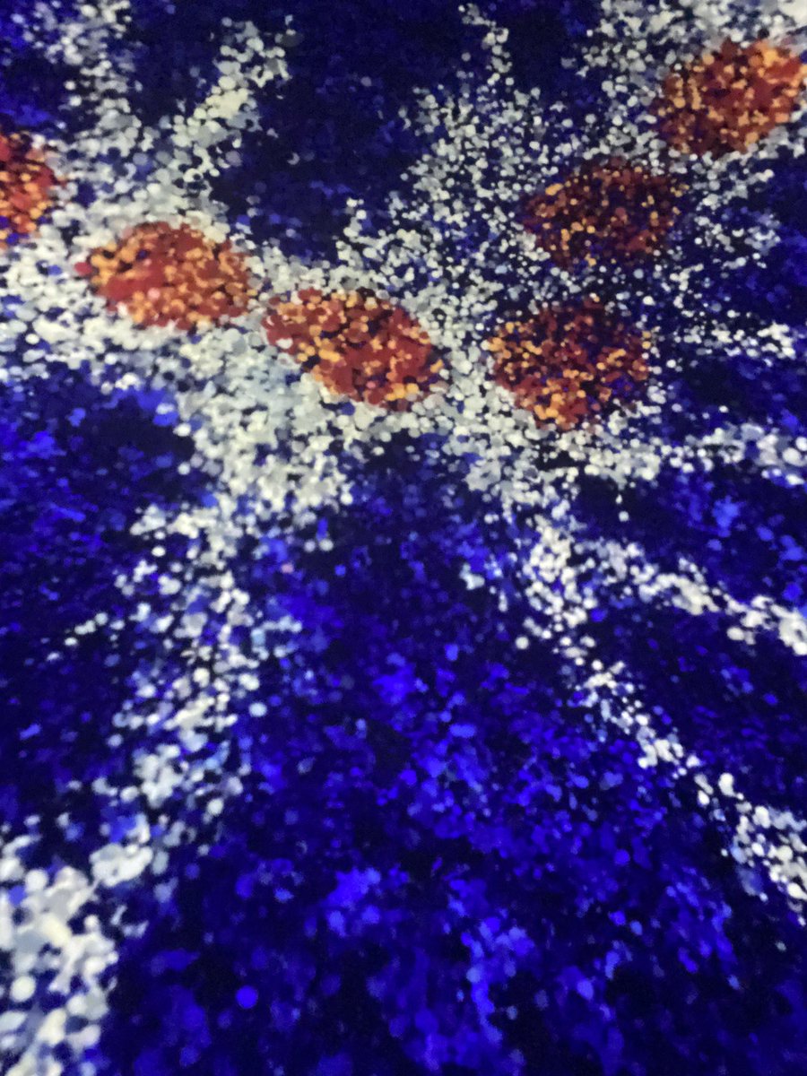 GhadeerKhub's tweet photo. Beautiful immersive experience at the #Australia pavilion @expo2020dubai this evening. Made me miss home! Have you visited #Expo2020 yet? 🇦🇺🦘
 #Expo2020Dubai https://t.co/sxG4K2BtPd