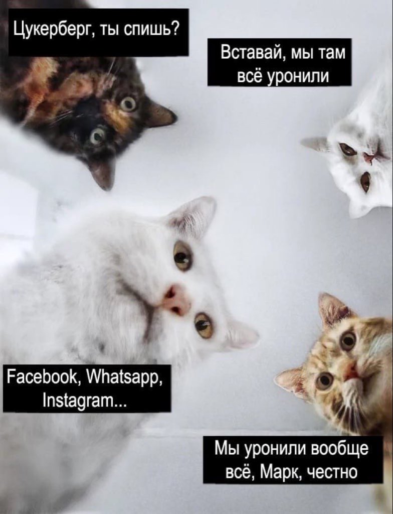 Таня Ночка (@nochka_la) on Twitter photo 