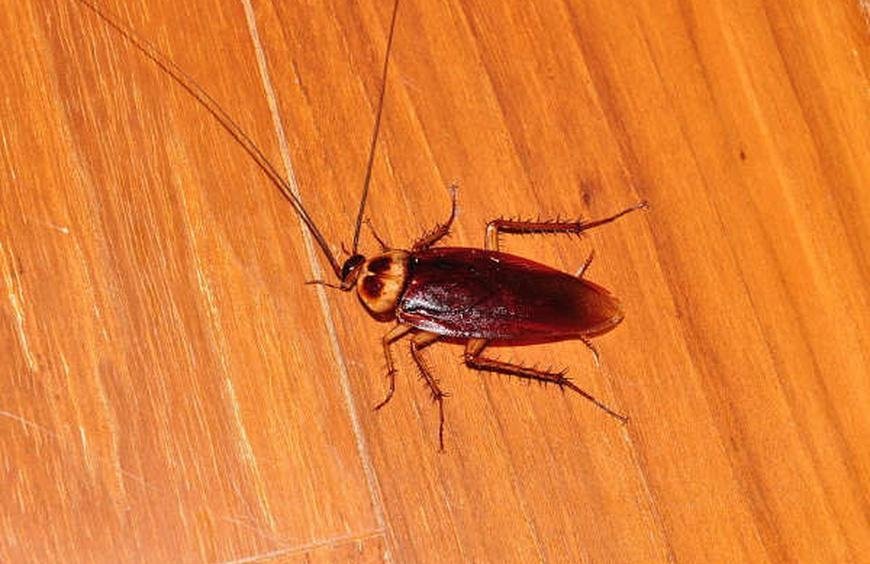 Guy Fixing Whatsapp & Instagram tweet media