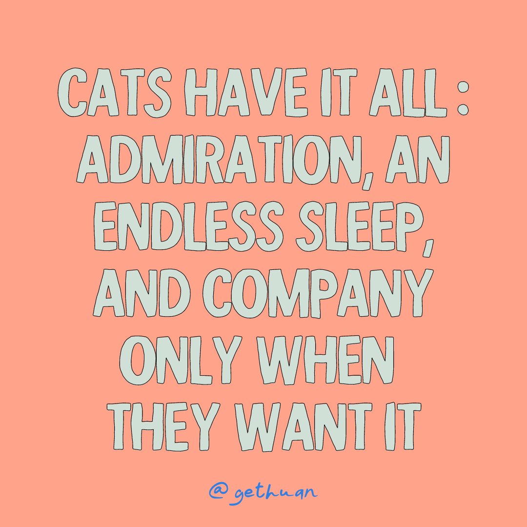 Sounds like a sweet deal 😺⁠