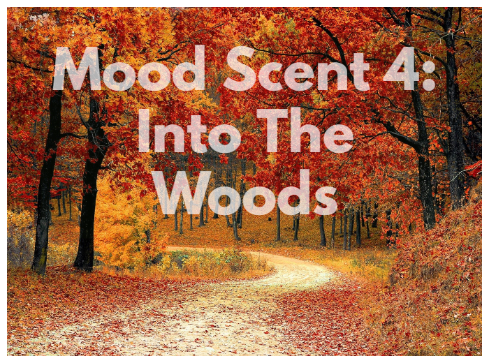 and here's a little round up of the last 4 1/2 years on Mood Scent 4 with my fragrant chums: bit.ly/ISMS4final <a href="/meganinstmaxime/">megan thee sainte maxime</a> <a href="/OzPerfumeJunkie/">Portia</a> <a href="/Esperessence33/">L'Esperessence</a> #perfume #fragrance #bloggers @FemaleBloggerRT <a href="/UKBlog_RT/">UK Blogger RT</a>