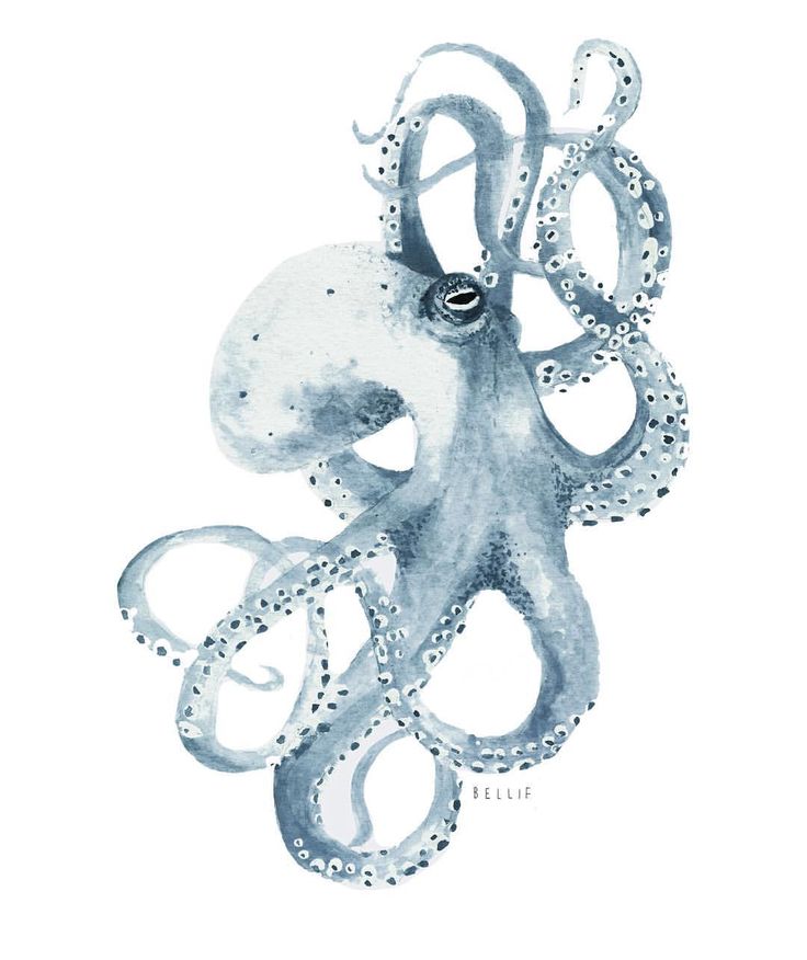 DoDEATechGirl's tweet photo. World Octopus Day!

Shout out to all the @iste #TeamOctopus and a special nod to the best squad, #CelebratetheInvertebrate

@pertuzluisfer @RawanAdawii @Shannon00382769 @mrsmathmagician https://t.co/SgK8ClBA0y
